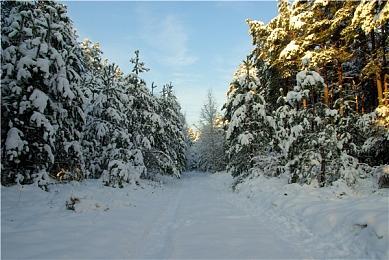 《赛博朋克2077》限时MOD发布 加入全新可探索区域