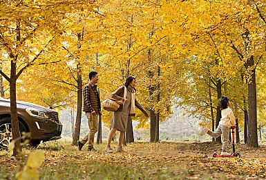 Steam新一周销量榜 《艾尔登法环》第二