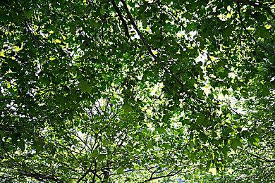 《破晓传说》琳薇尔角色预告 腼腆可爱的魔法师